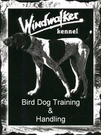Field Champion Windwalker's LB Ohi Rummy